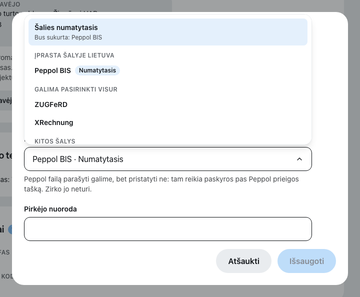 Išskleistas formato pasirinkimas prie kliento